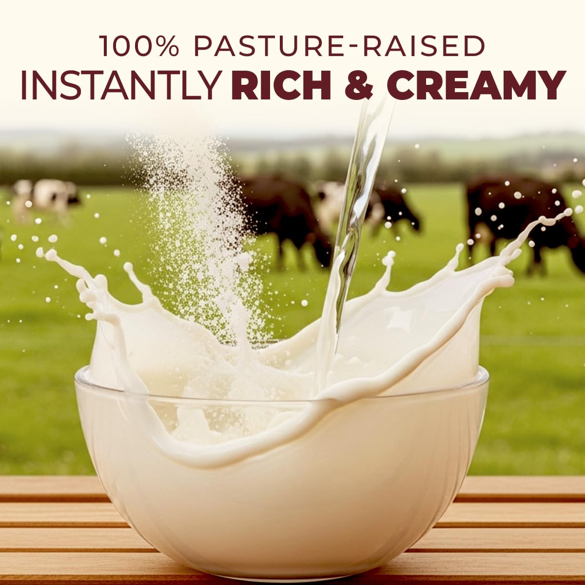 Gya Tea Co Whole Milk Powder 1.1lb (17.64 Oz) - Pasture Raised Source, rBST Hormone Free, Non-GMO - Shelf Stable Premium Grade Powdered Milk for Baking, Cooking, Smoothies - Rich in Protein & Calcium